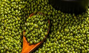 2024年中国节能环保行业发展现状分析及未来发展前景趋势预测(图6)