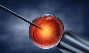 2024节能环保产业链供需布局及发展现状调研分析(图3)