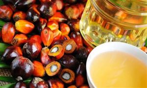 2024节能环保产业链供需布局及发展现状调研分析(图5)