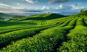 2024年大气污染防治行业的市场发展现状及重点企业情况(图4)