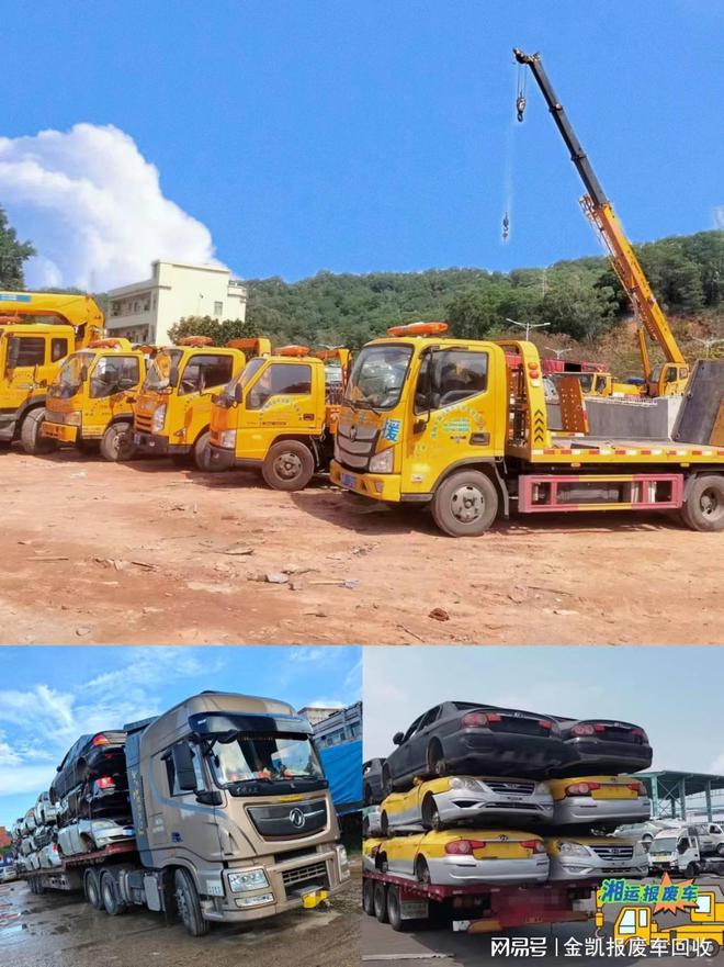 汽车报废2024年政策