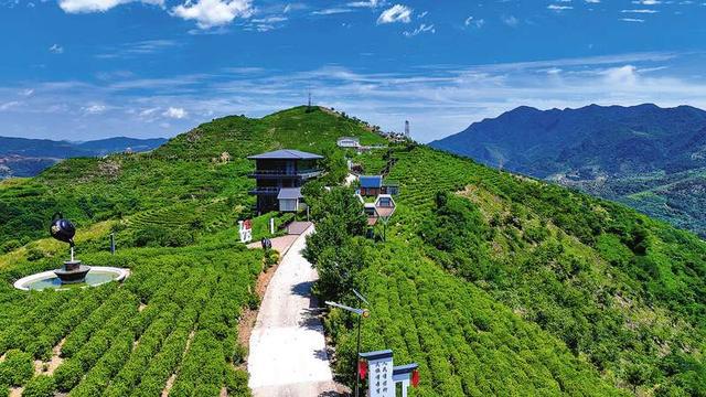 kaiyun：量质双优抓项目蓄势赋能促发展——山阳县重点项目建设综述(图2)