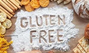 kaiyun：除尘设备行业深度调研及未来投资前景预测2024(图5)