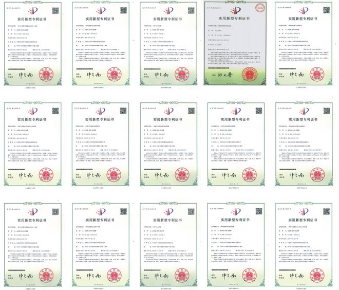 江西省太平洋节能环保科技有限公司：立足本国特色开创新征程(图4)