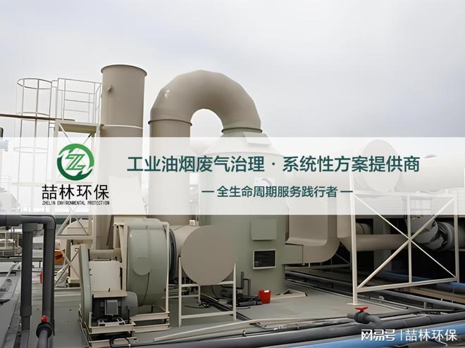 淀粉厂脉冲环保除尘器设备