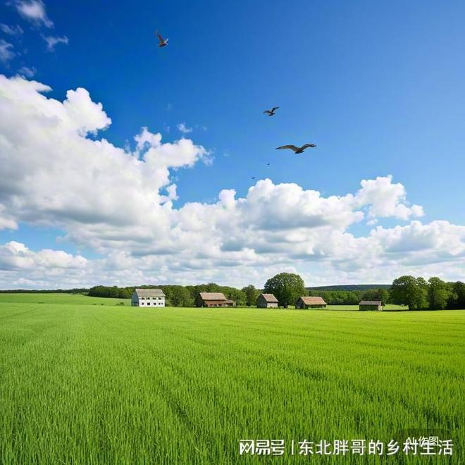 kaiyun入口：环保意识全称为环境保护意识