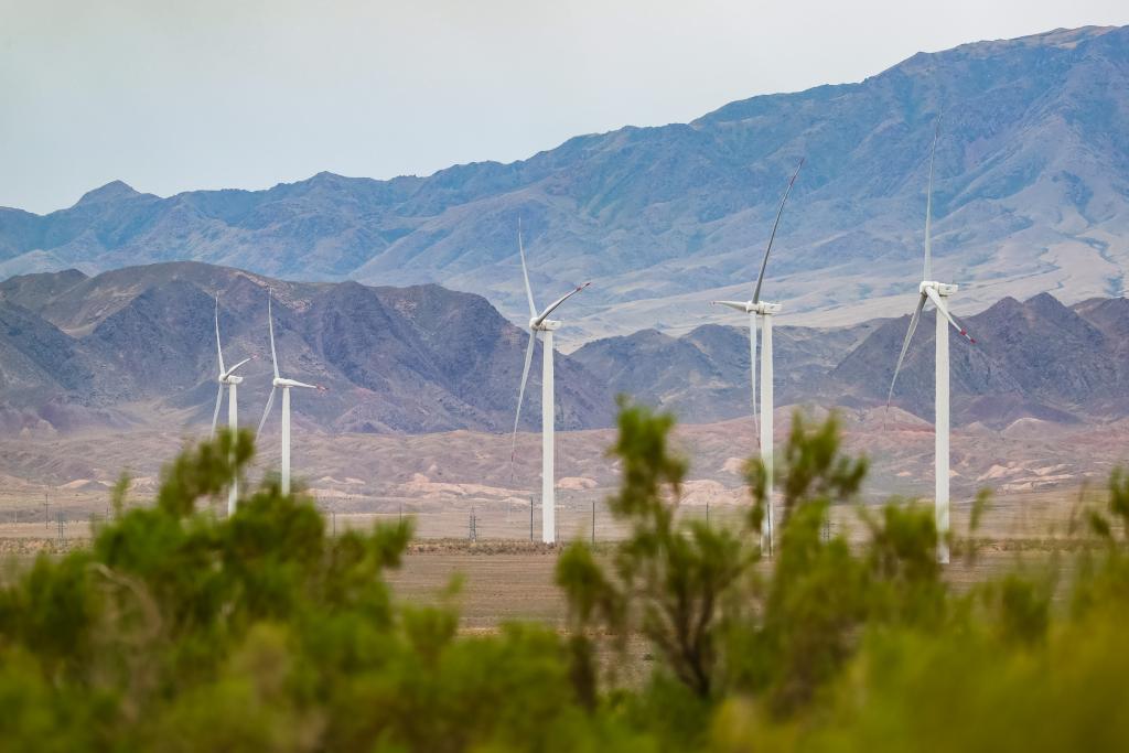 kaiyun：绿色新风拂丝路——中国中亚书写绿色发展新篇章(图1)