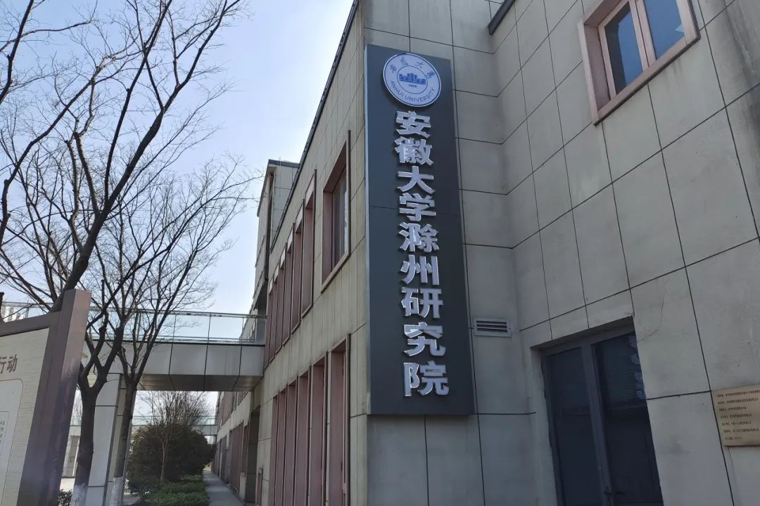 全省前列！滁州究竟凭的是什么？(图5)