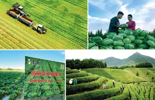 kaiyun入口：福布斯中国发布2025中国ESG50：协同变革重塑可持续竞争力(图8)