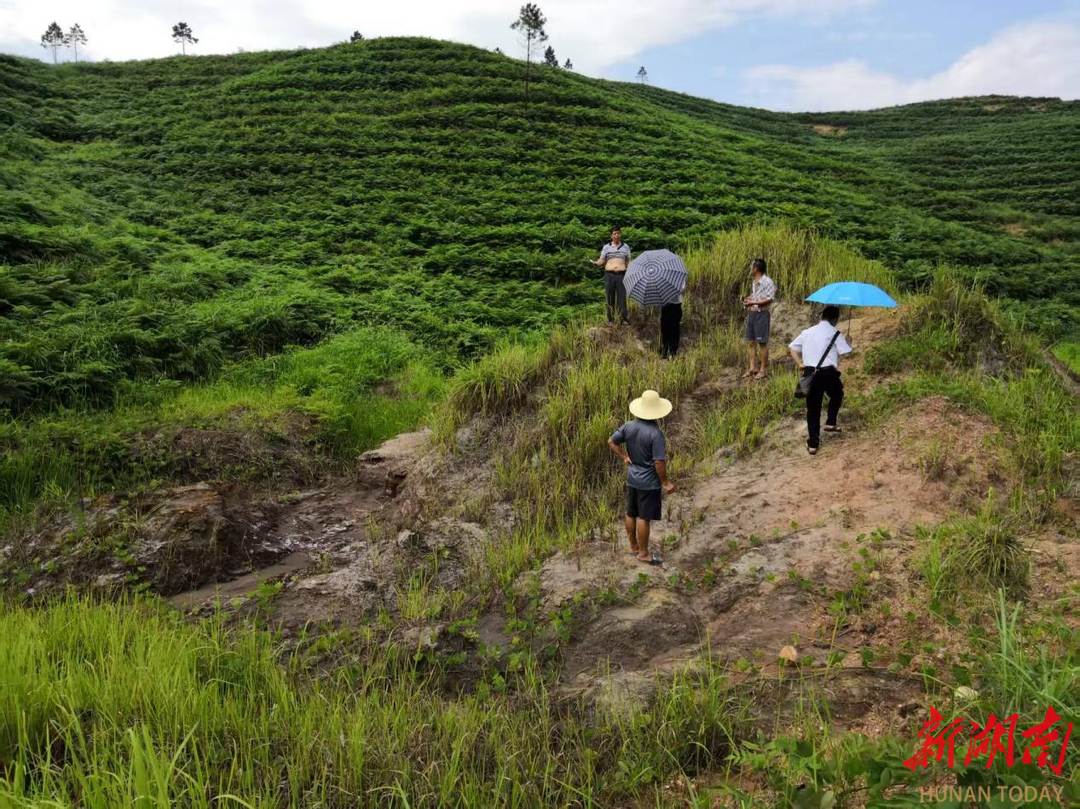kaiyun入口：耒阳：擦亮“生态高颜值”守护天蓝水清土净(图4)