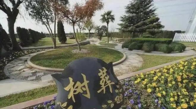 kaiyun网站：“火葬”将被淘汰？新方式已经在国内试用很多人表示不能接受(图7)