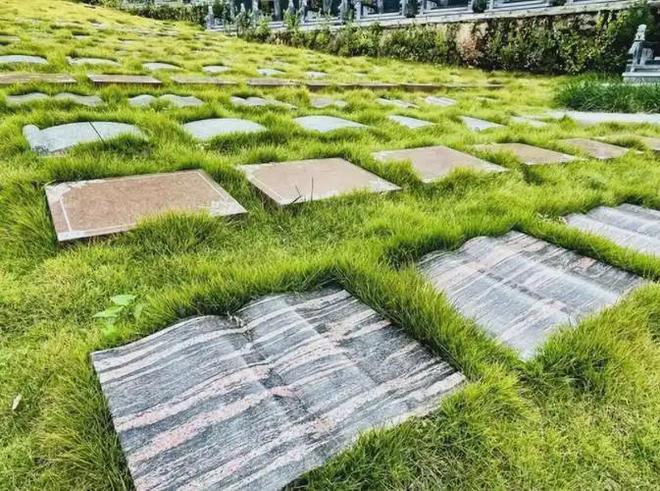 kaiyun网站：“火葬”将被淘汰？新方式已经在国内试用很多人表示不能接受(图9)