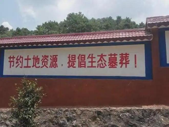 kaiyun网站：“火葬”将被淘汰？新方式已经在国内试用很多人表示不能接受(图10)