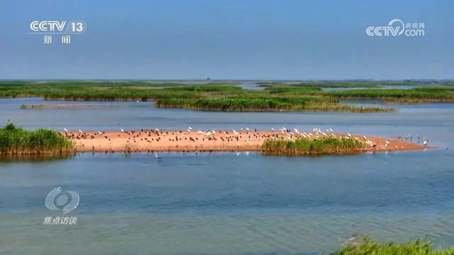 焦点访谈｜中国交出“十四五”高质量生态答卷为地球增添更多“中国绿”(图10)