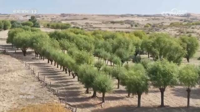 焦点访谈｜中国交出“十四五”高质量生态答卷为地球增添更多“中国绿”(图4)