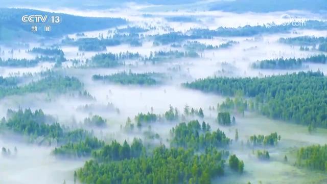 焦点访谈｜中国交出“十四五”高质量生态答卷为地球增添更多“中国绿”(图3)