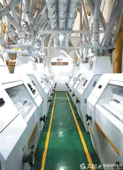 年产值逾3亿元新疆这家企业从“小磨坊”成为龙头企业