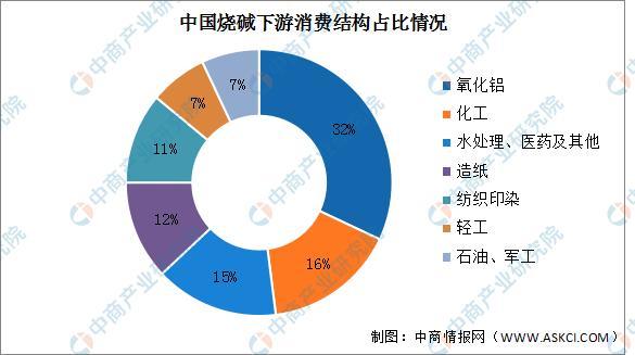 2025年中国氯碱化工行业市场前景预测研究报告(图5)