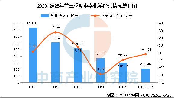 2025年中国氯碱化工行业市场前景预测研究报告(图9)