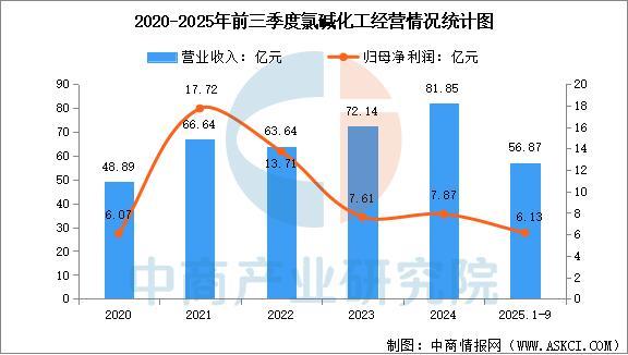 2025年中国氯碱化工行业市场前景预测研究报告(图15)