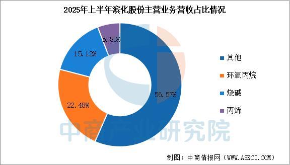 2025年中国氯碱化工行业市场前景预测研究报告(图18)