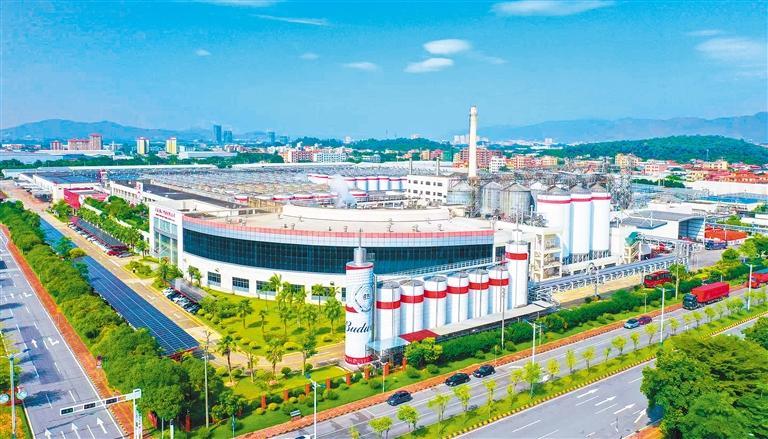 kaiyun网站：【高质量发展产业调研】啤酒业破局(图2)