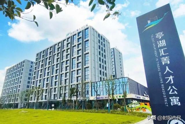 筑巢引凤绿聚亭湖！打造长三角节能环保产业人才新高地(图5)