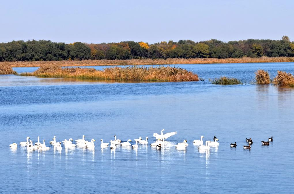 kaiyun入口：一起来看！河北亮出生态环境保护成绩单→(图4)