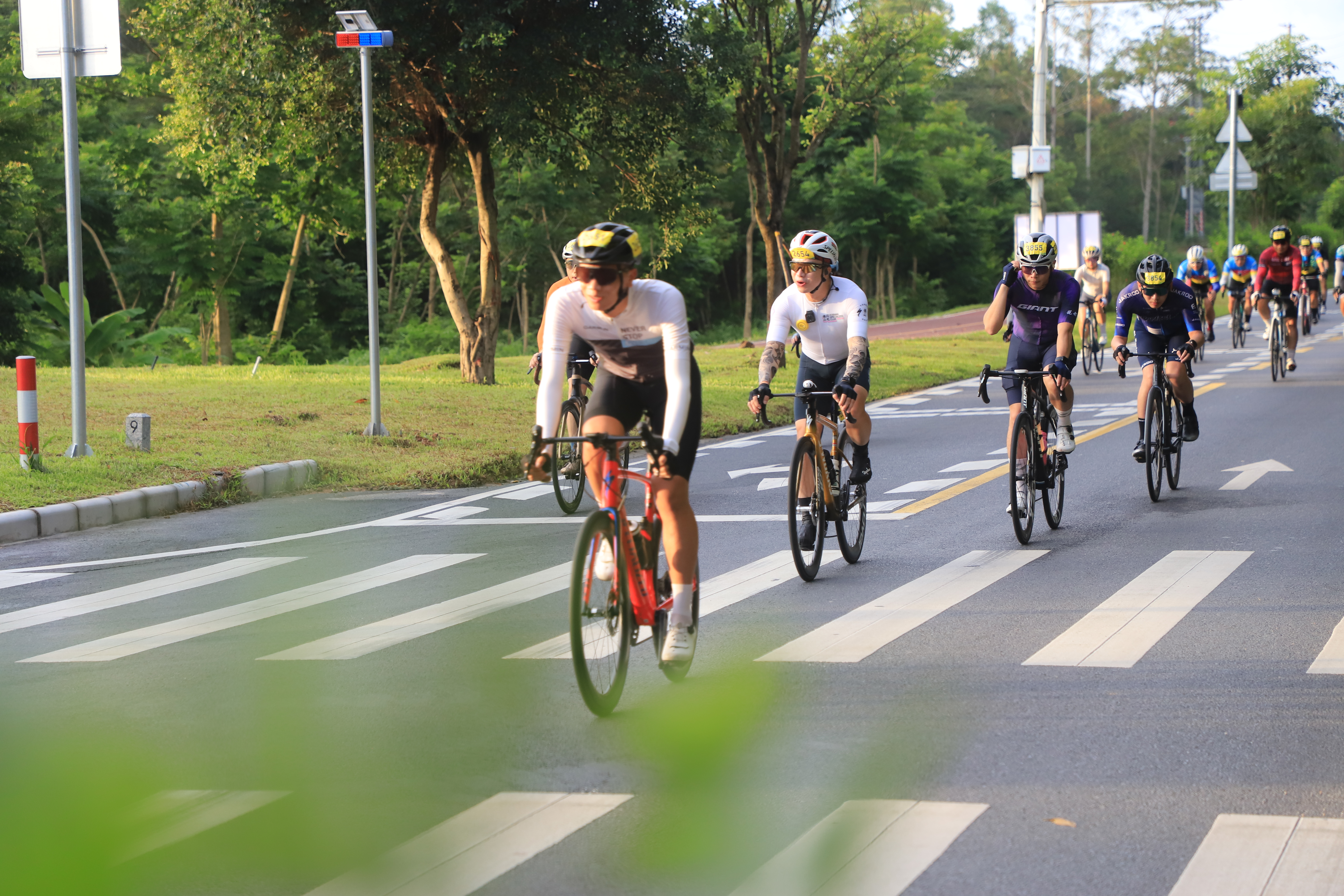历史性突破！博罗跃升广东首个“千亿县”(图3)
