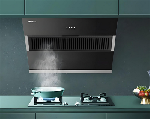 kaiyun网站：中国吸尘器10大品牌排行榜包括哪些(图1)