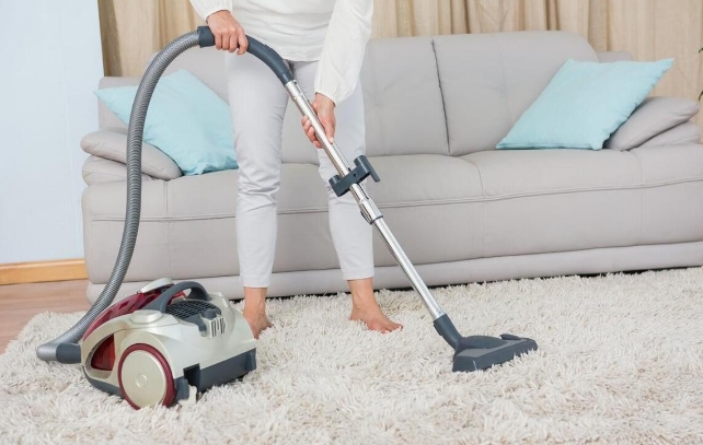 吸尘器什么牌子好？十大主流吸尘器品牌(图1)